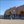 Tiny