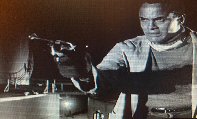 Screenshot from "Sing Your Song" A Documentary About Harry Belafonte (2011)