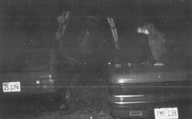 Wheeling Twin Drive-In