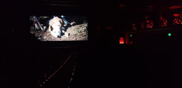 Crisp Big 70mm  Film Image Grand Lake Theatre 