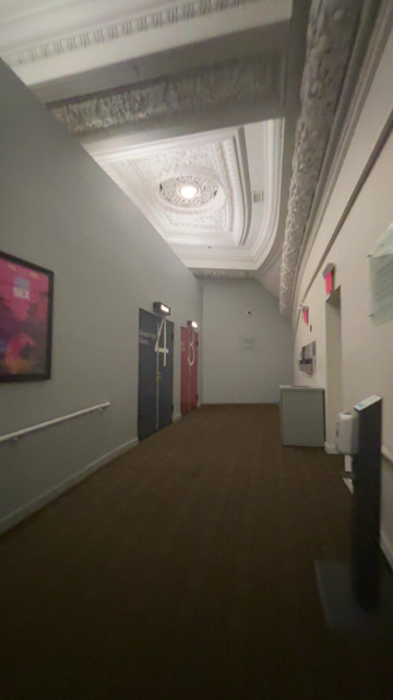BAM Rose Cinema Hallway to Theater