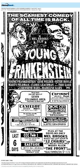Mel Brooks--Number Seven Box Office Star (1977)