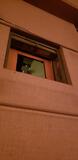 Projection Booth Porthole