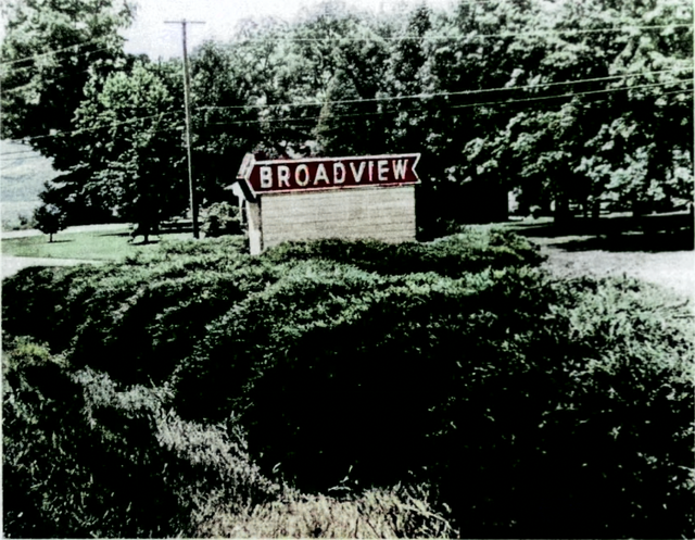 Broadview Drive-In