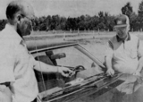 Sturgeon Falls Drive-In