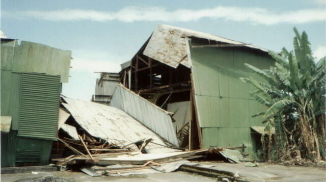 Mamo after roof collapse 1995.