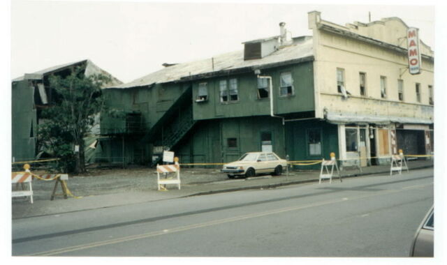 Mamo wreakage from makai side 1995.