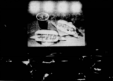 Starlite Drive-In