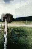 Speaker and post at the Star-Lite Drive In
