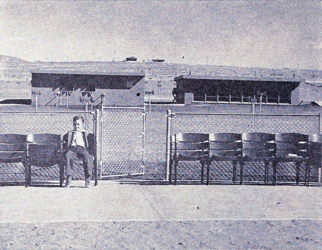 Cactus Drive-In