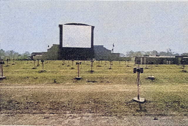 Michigan Drive-In