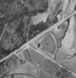 Forest Drive-In