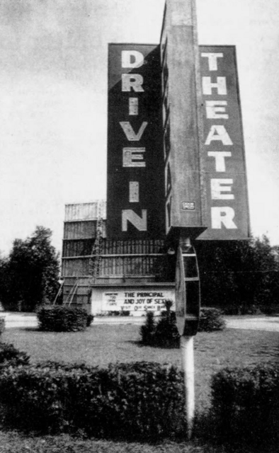 Skyway Drive-In