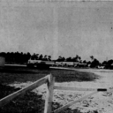 Cypress Drive-In