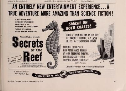 1956 Film