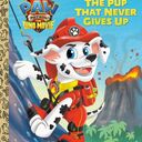 Mightypupsfanboy1999